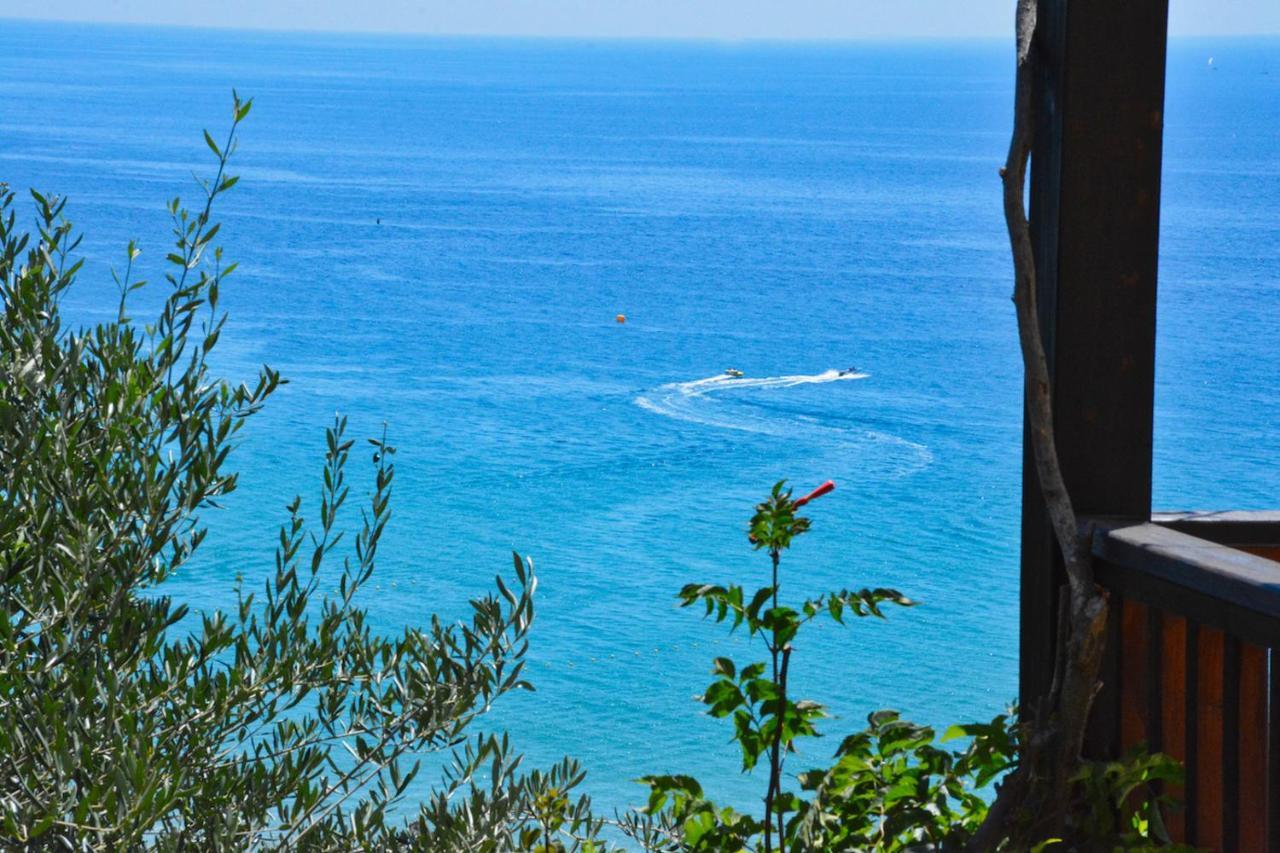 Corfu Resorts Apartments Pelekas Eksteriør bilde