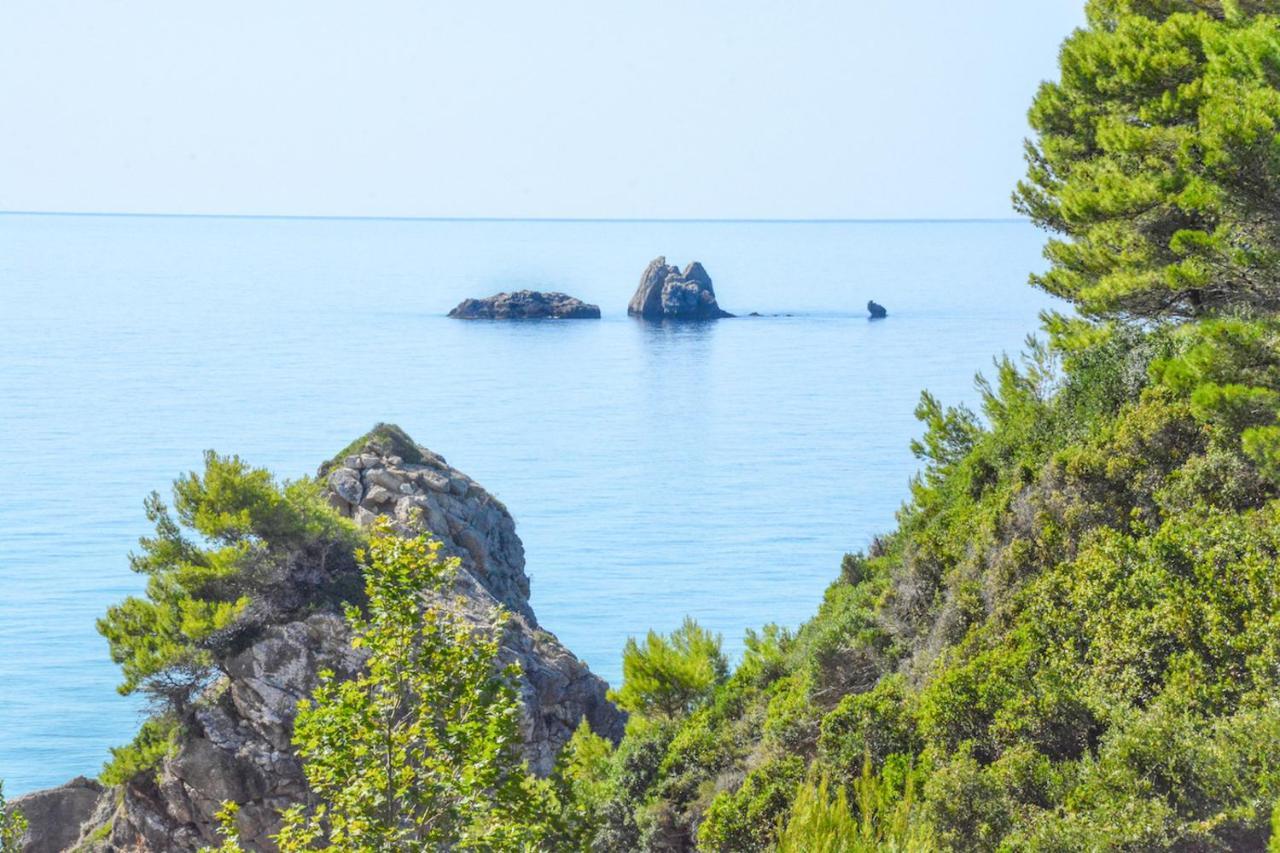 Corfu Resorts Apartments Pelekas Eksteriør bilde